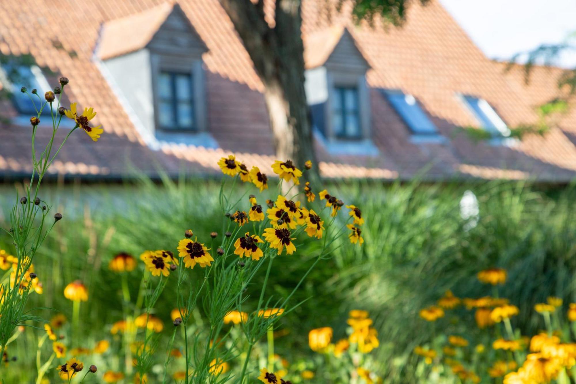 Le Cap Hornu Hotel Saint-Valéry-sur-Somme Eksteriør billede
